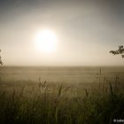 Mit Kamera und E-Bike zu Schätzen der Natur