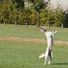 Mit kleiner Freund voller Freude