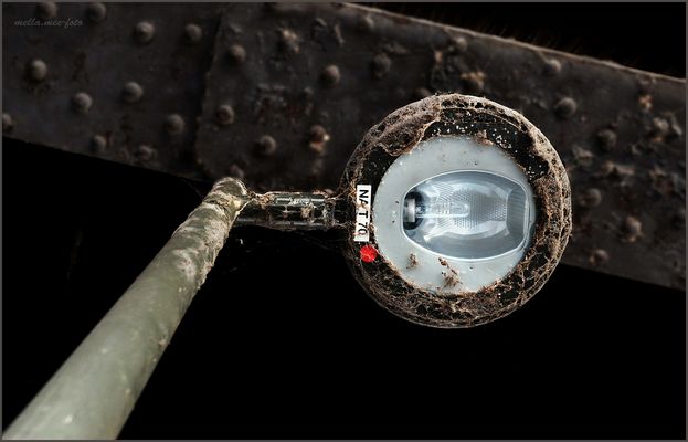 Mit Kopf im Nacken ...