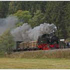 Mit Langholz am Haltepunkt Forellenhof