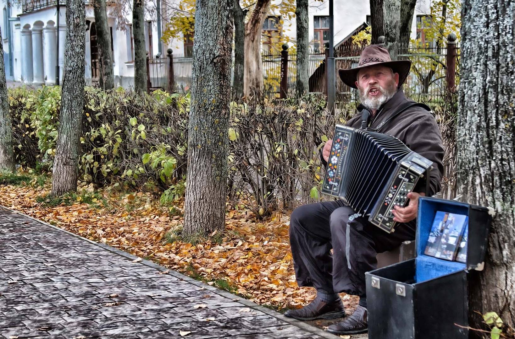 mit Leidenschaft Musiker