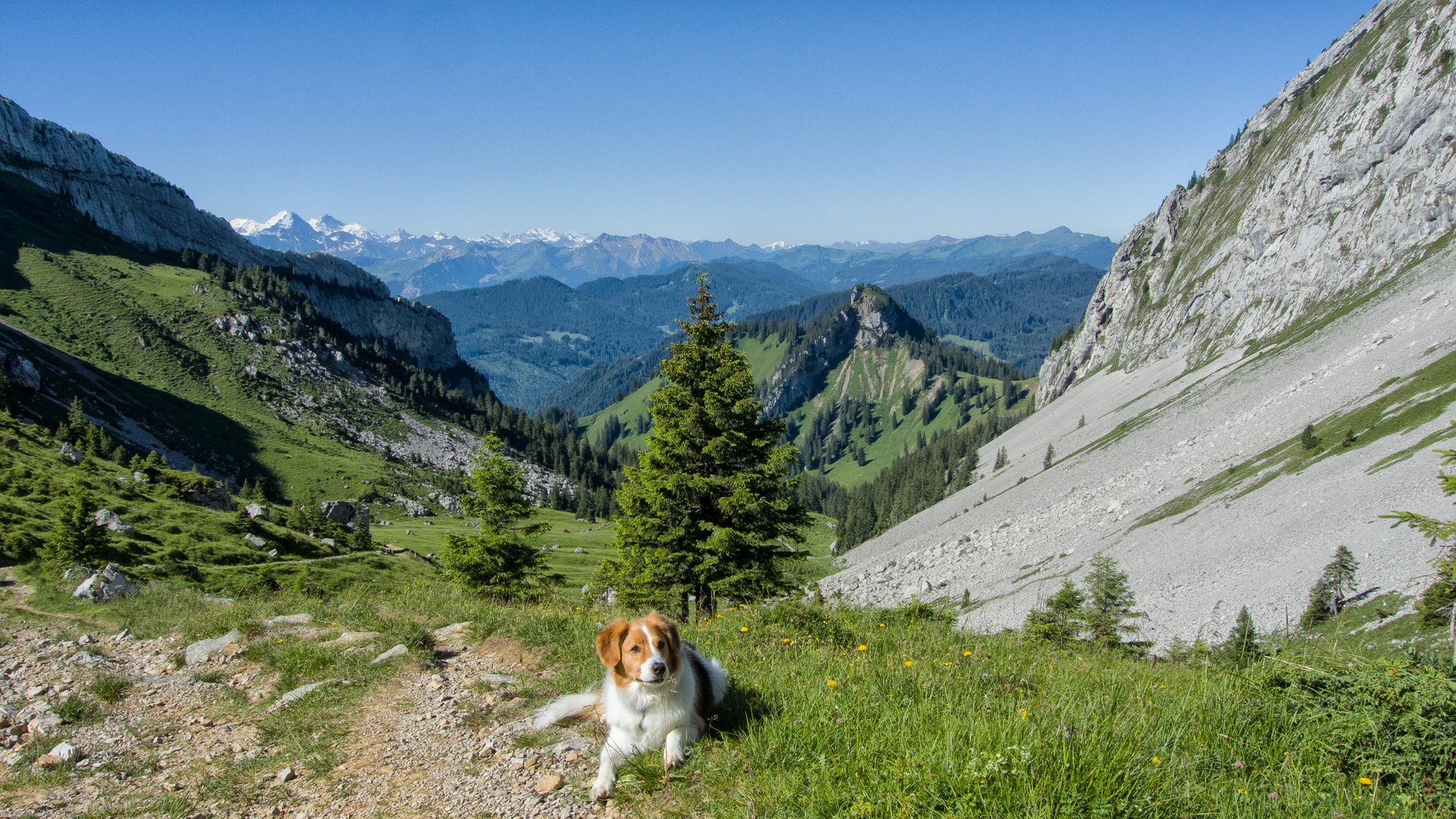 Mit Lenny auf dem Weg zum Pilatus / 1