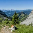 Mit Lenny auf dem Weg zum Pilatus / 1