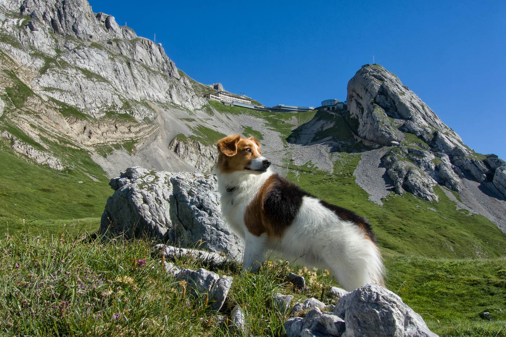 Mit Lenny auf dem Weg zum Pilatus / 2