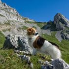 Mit Lenny auf dem Weg zum Pilatus / 2