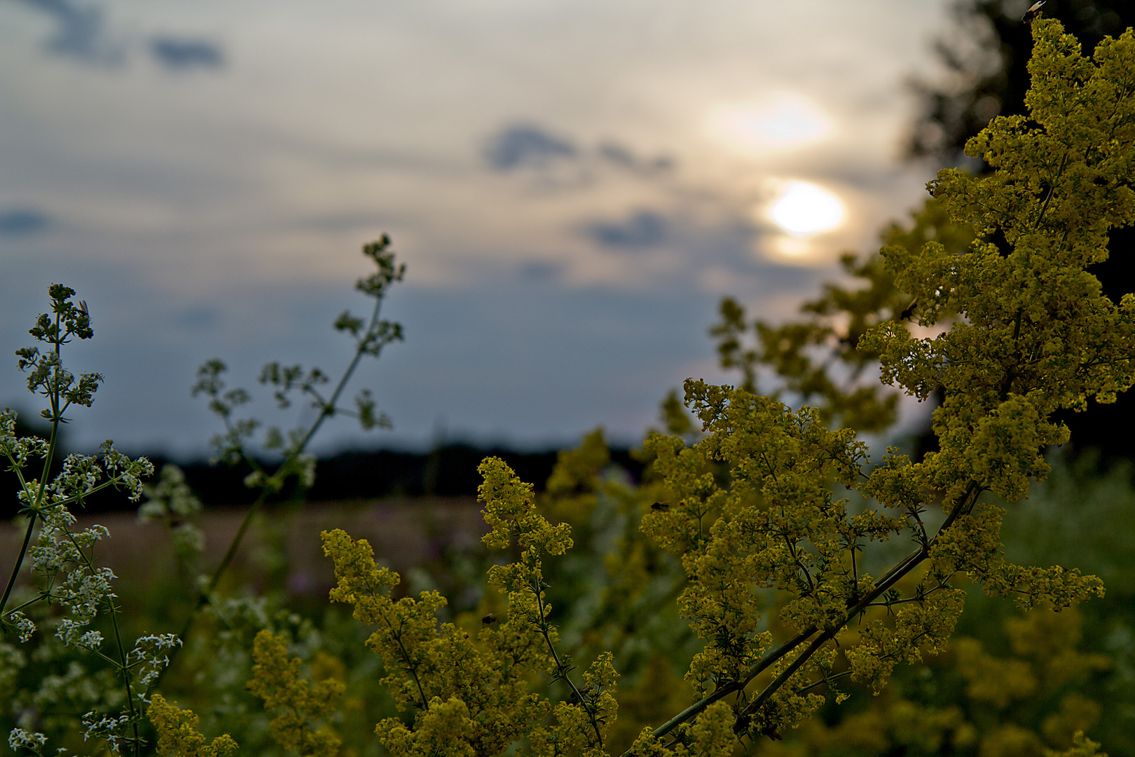 (mit) licht gestalten 3