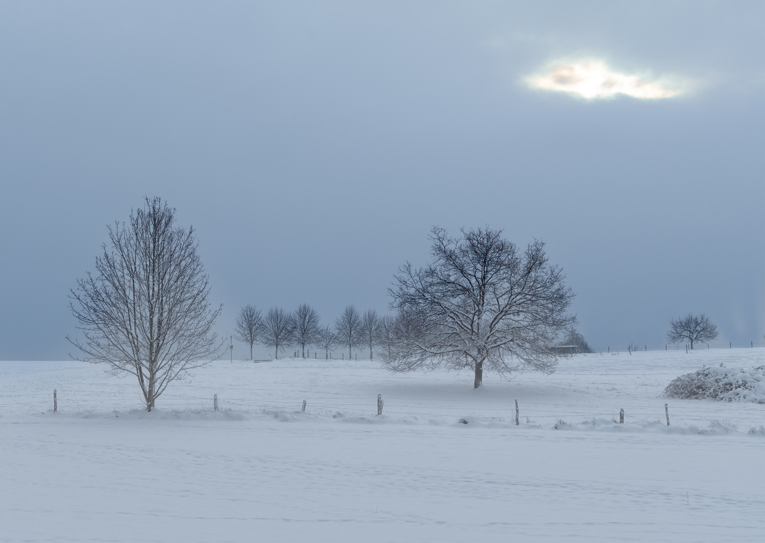 Mit Lichtblick