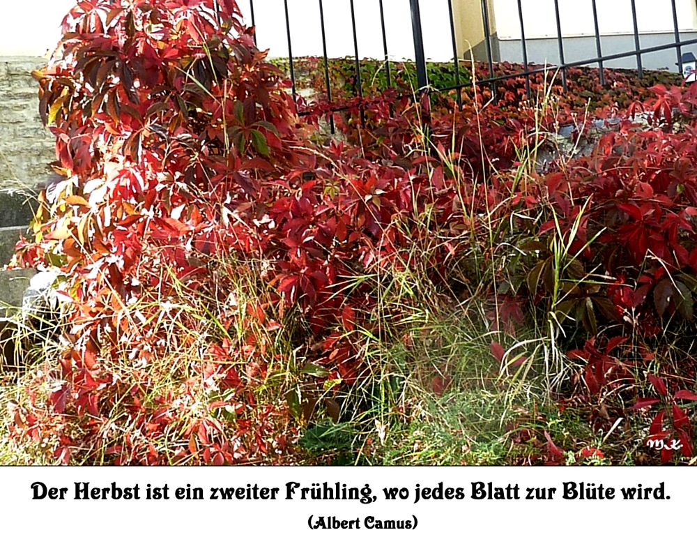 Mit-Mach-Aktion  "Herbst"