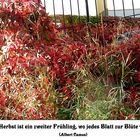 Mit-Mach-Aktion  "Herbst"