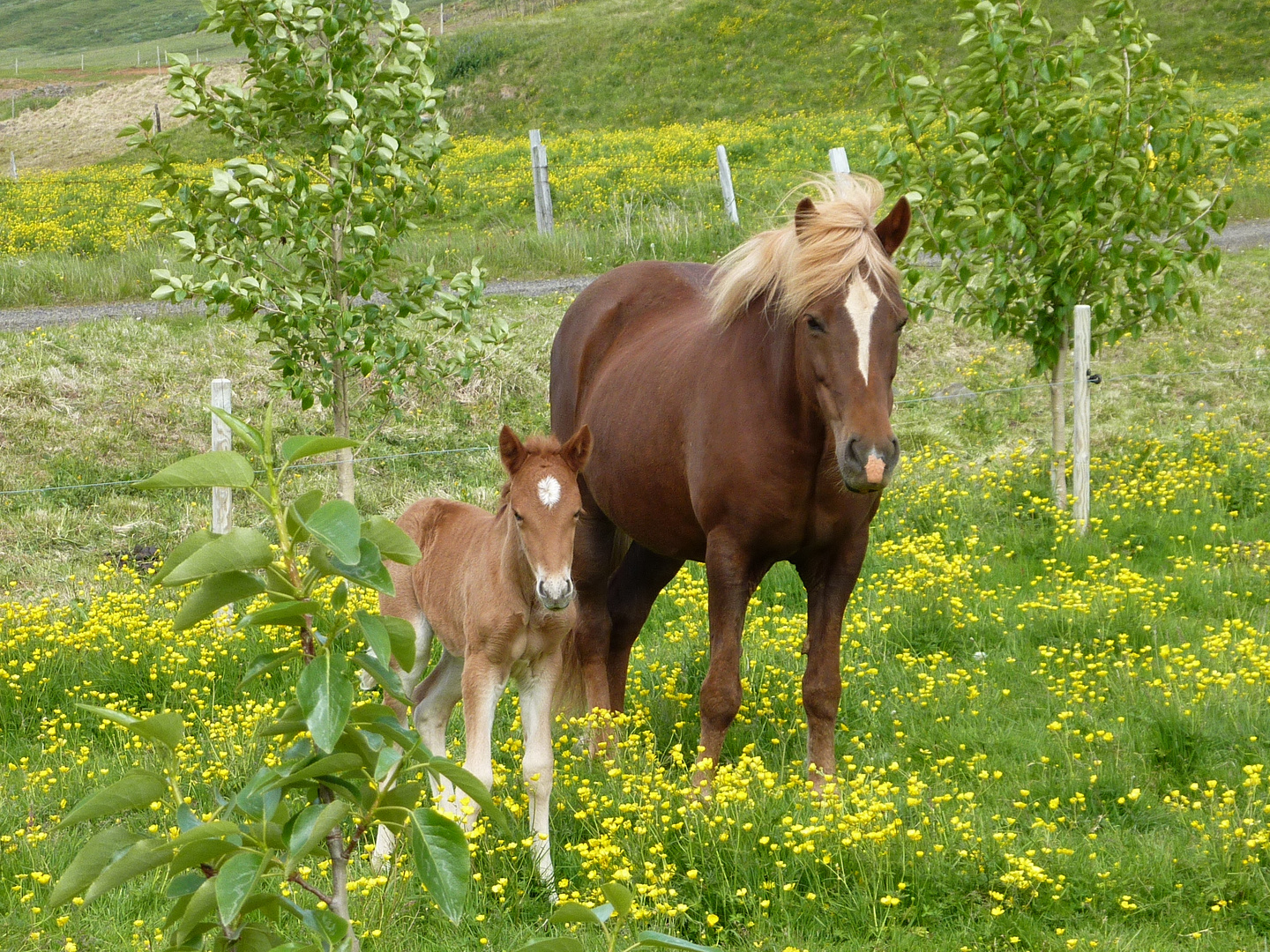 Mit Mama an der Seite kann ich neugierig gucken!