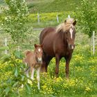 Mit Mama an der Seite kann ich neugierig gucken!