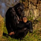 mit Mama die Sonne genießen