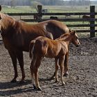 Mit Mama die Sonne genießen