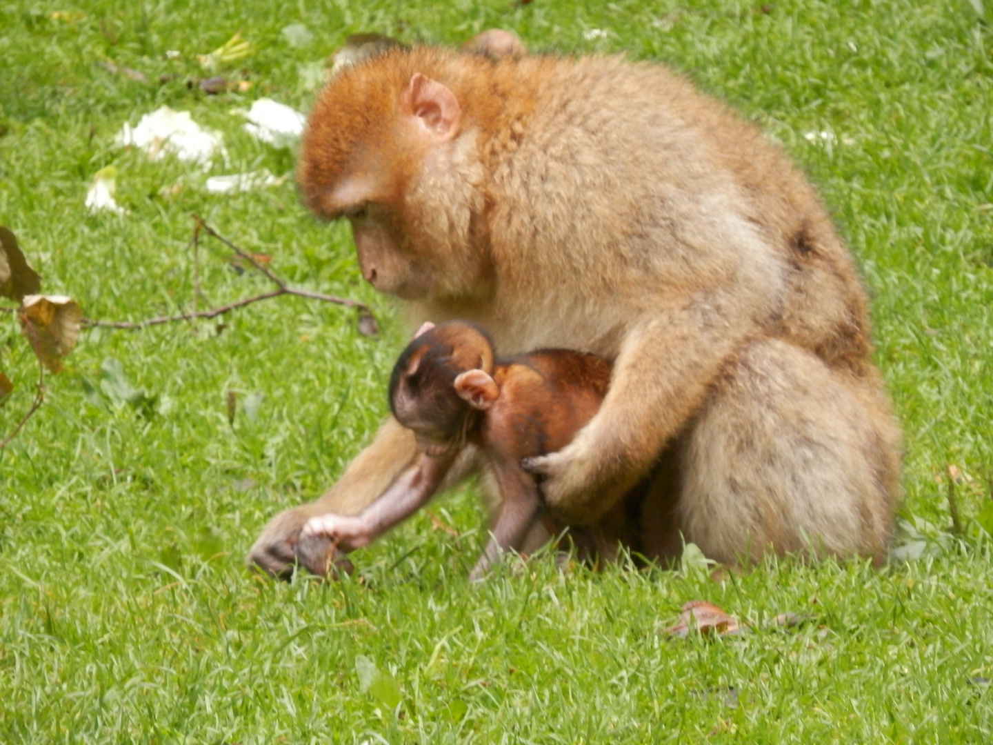 mit Mama die Welt entdecken