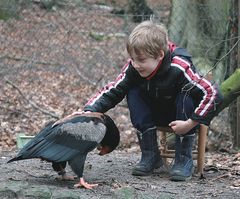 Mit meinem Sohn