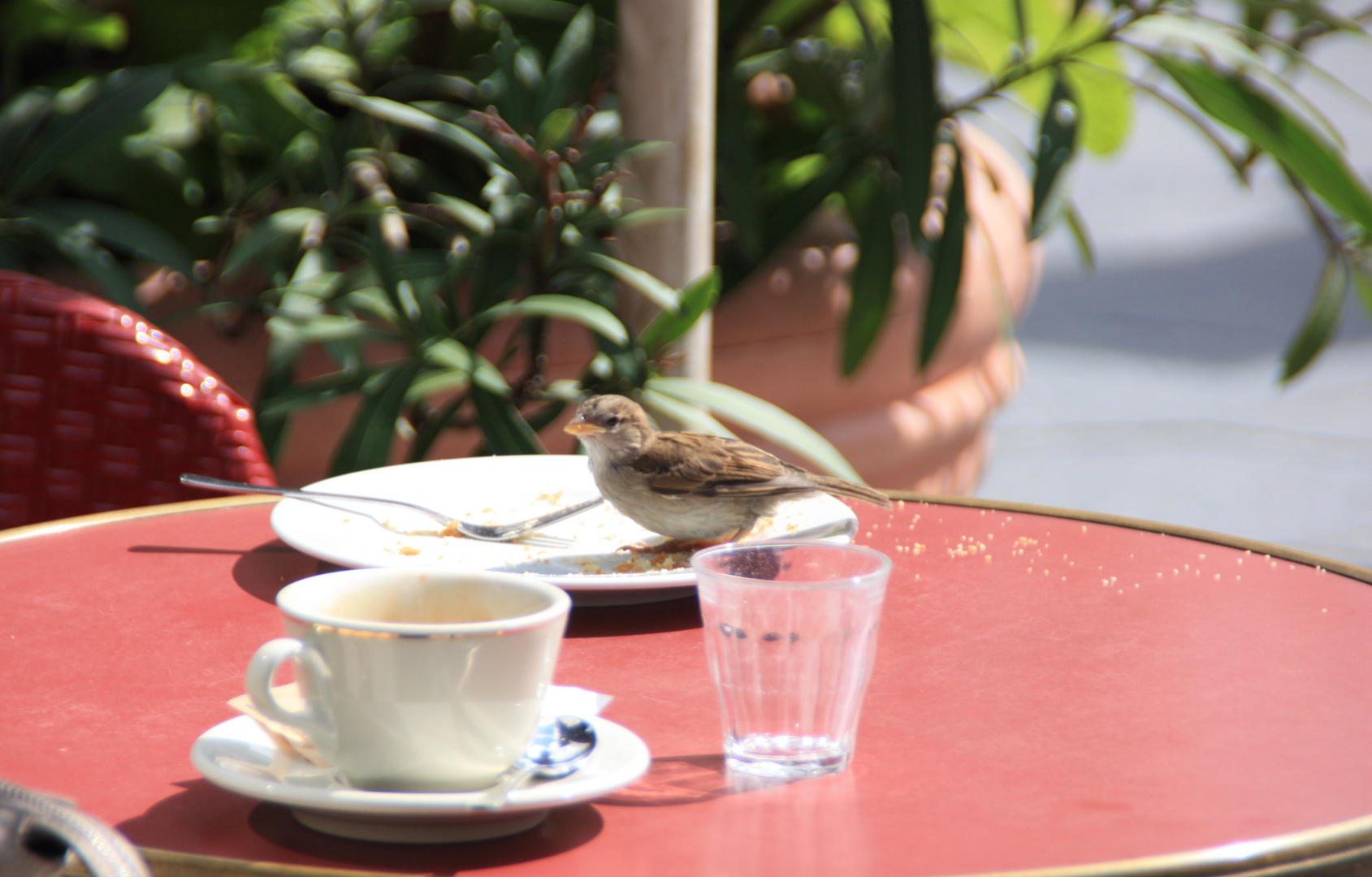 mit meinem Spatz zum Kaffee und Kuchen