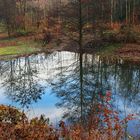 Mit meiner Großmutter aus  Bonn der Müglitz und Wolt Disney