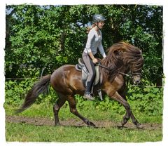 Mit meiner Tochter auf der Koppel