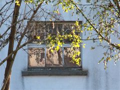 Mit Nachbar's Fenster wünsche ich Euch allen einen schönen Herbst-Sonn(en)tag!