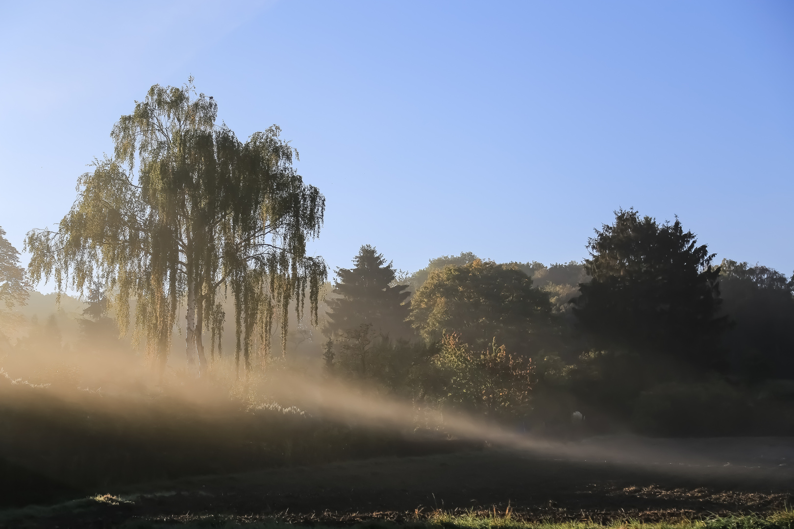 Mit Nebel