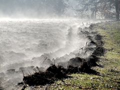 "Mit Nebel beginnen schöne Tage"