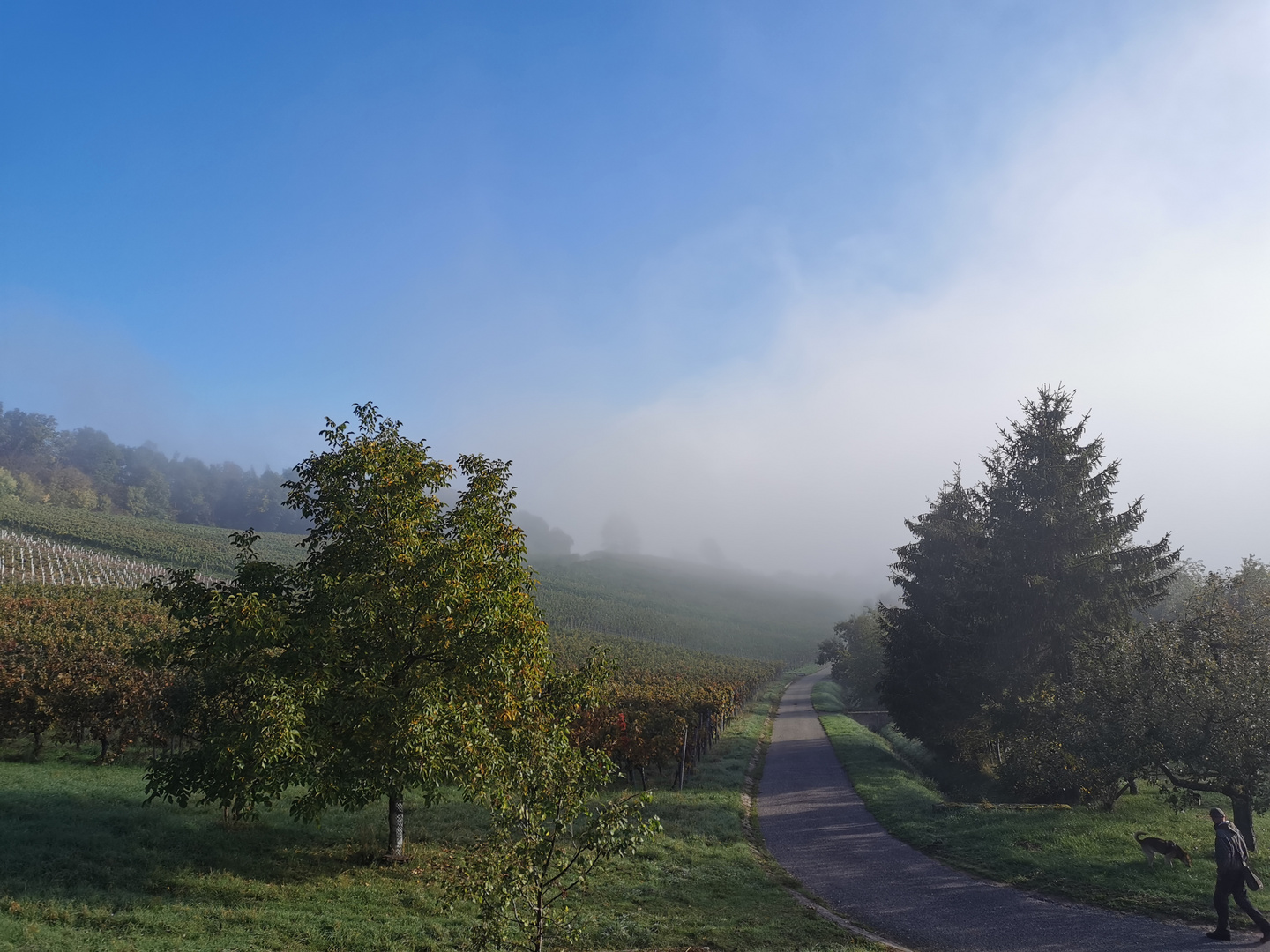 Mit Nebel Start in den Tag 2