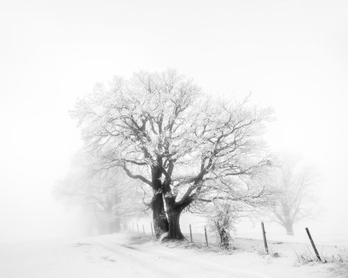 Mit Nebel überzogen