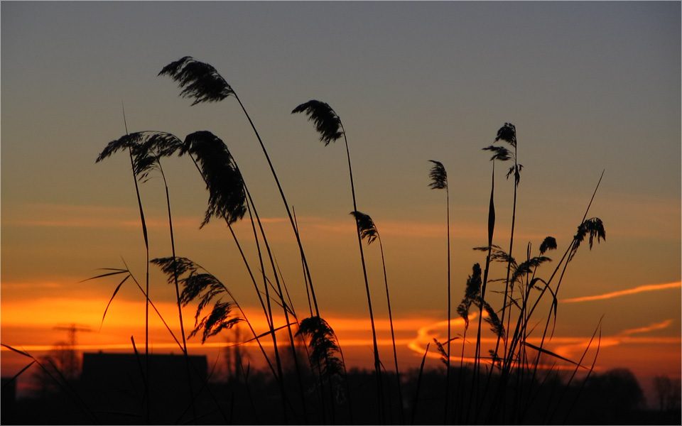 mit ohne Sonne