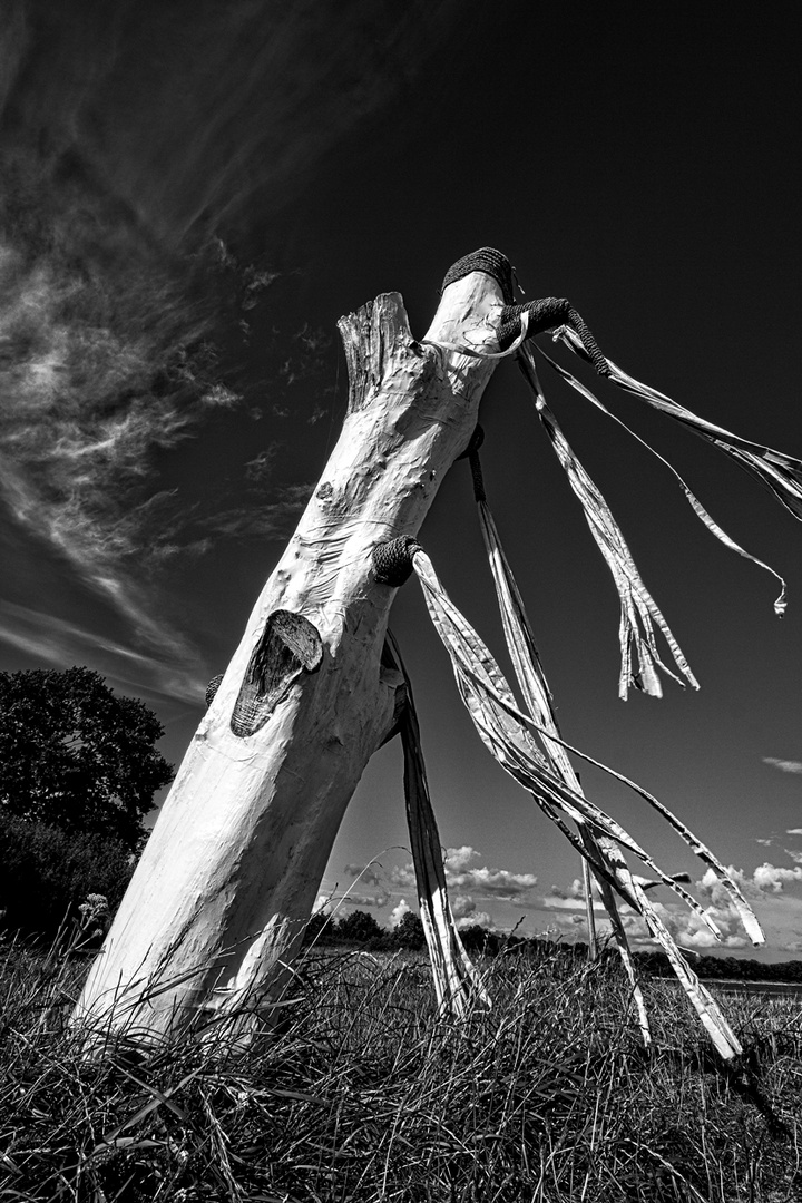 "Mit ohne Wind"