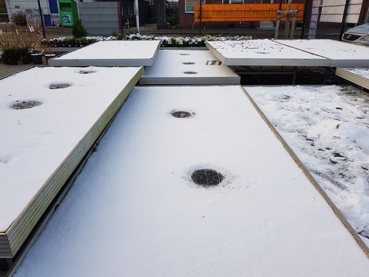 Mit ohne Worte (397)