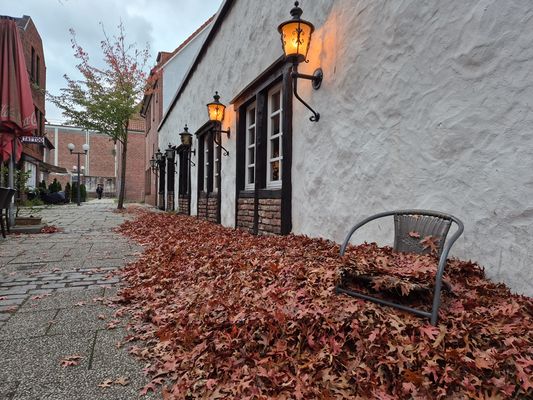 Mit ohne Worte (436)