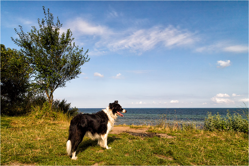 mit Paul an der Ostsee