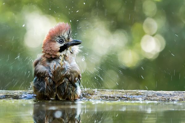 ... mit Perwoll gewaschen...