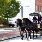 Mit Pferd und Wagen