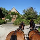 Mit Pferd und wagen unterwegs