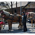 mit Pferd und Wagen unterwegs