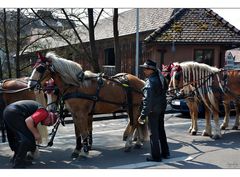 mit Pferd und Wagen unterwegs