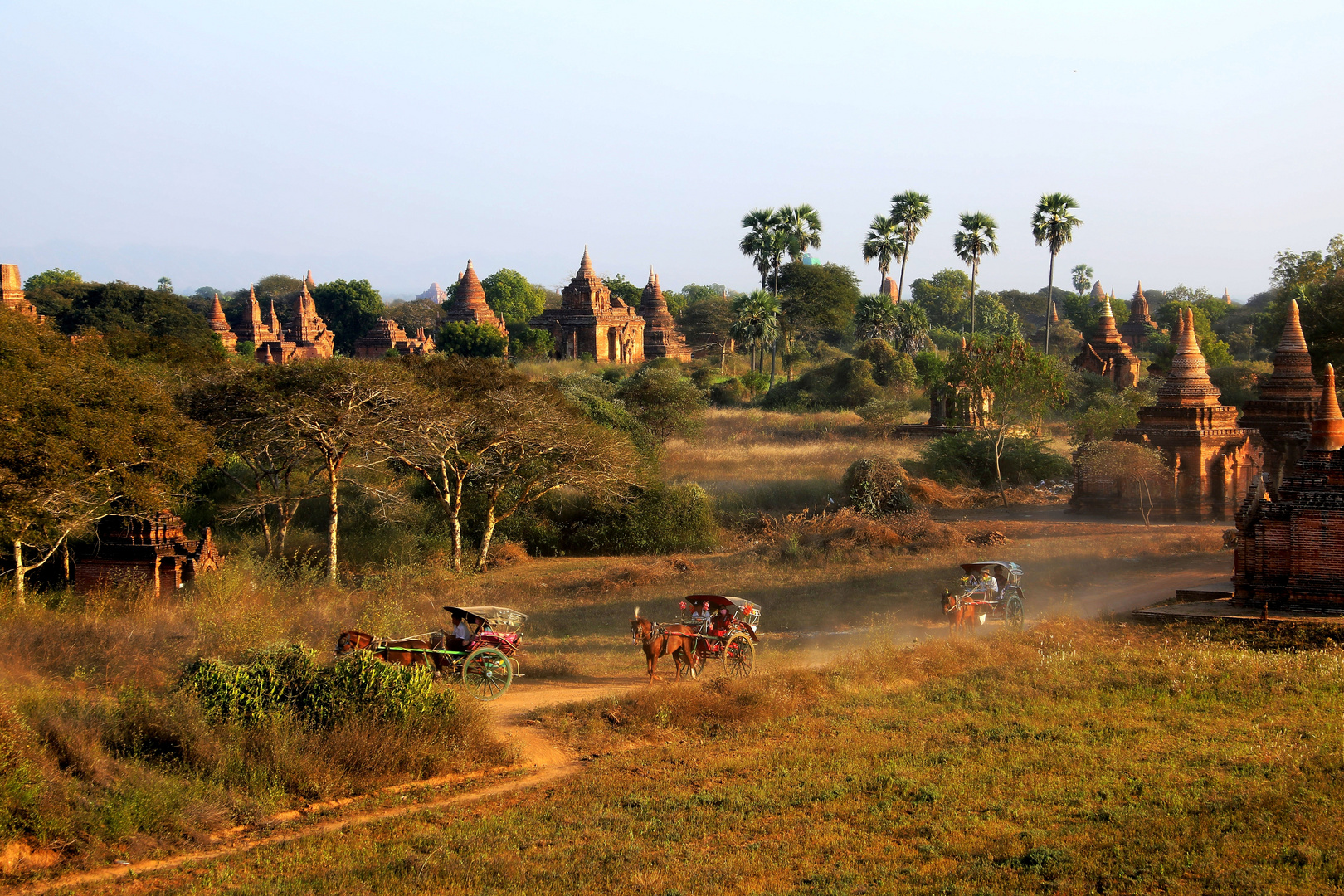 mit Pferdekutsche durch die Pagoden. Bagan