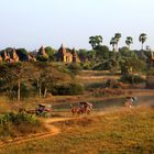 mit Pferdekutsche durch die Pagoden. Bagan