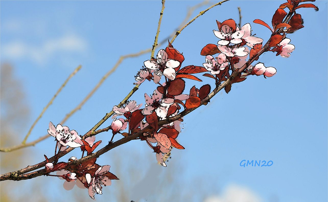 Mit Pfirsichblüten