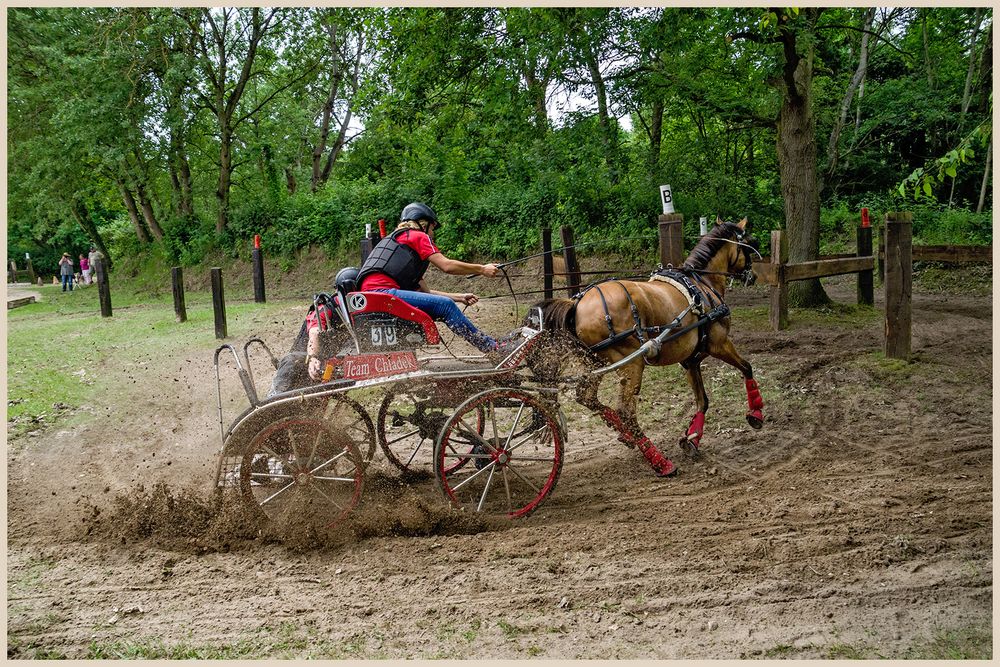 Mit Power durchs Hindernis Foto & Bild sport, pferde, fahren Bilder auf