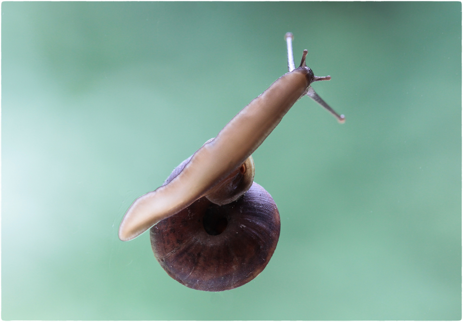 Mit Riesenschritten dem Frühling entgegen