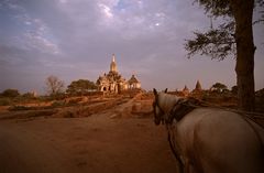 Mit Ross und Wagen durch Bagan