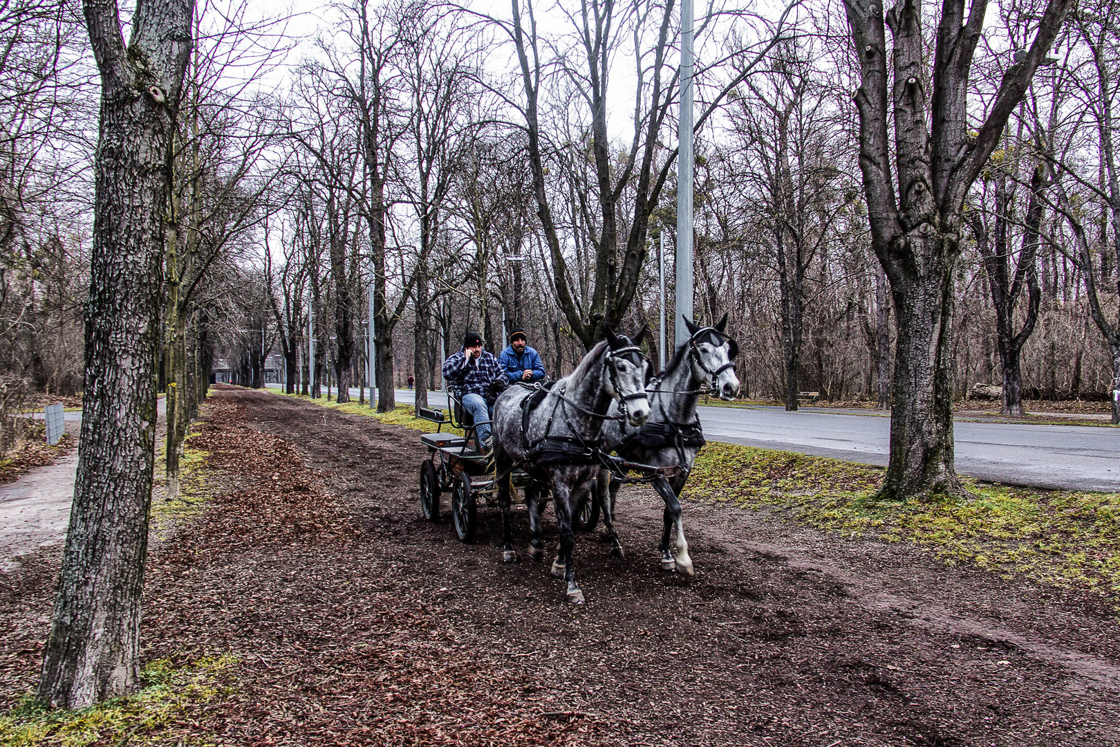 Mit Ross und Wagen in der Prater Hauptallee