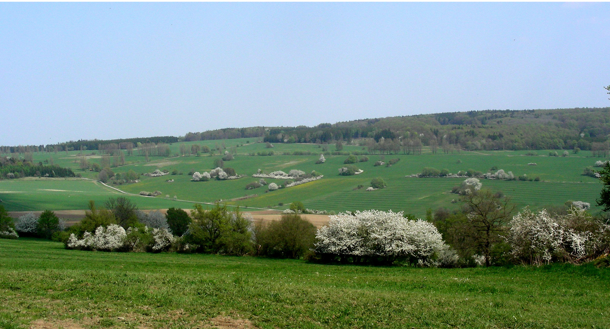 Mit Sahnehäubchen... Foto &amp; Bild | landschaft, Äcker, felder &amp; wiesen ...