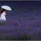 Mit Schirm, Charme.....und Lavendel
