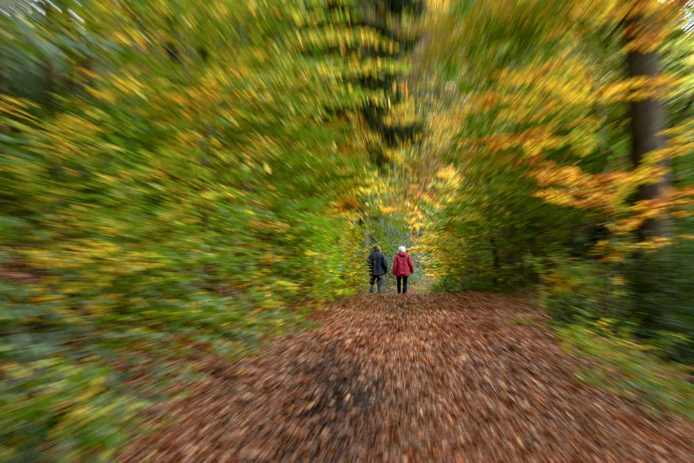 Mit Schmackes durch den Wald