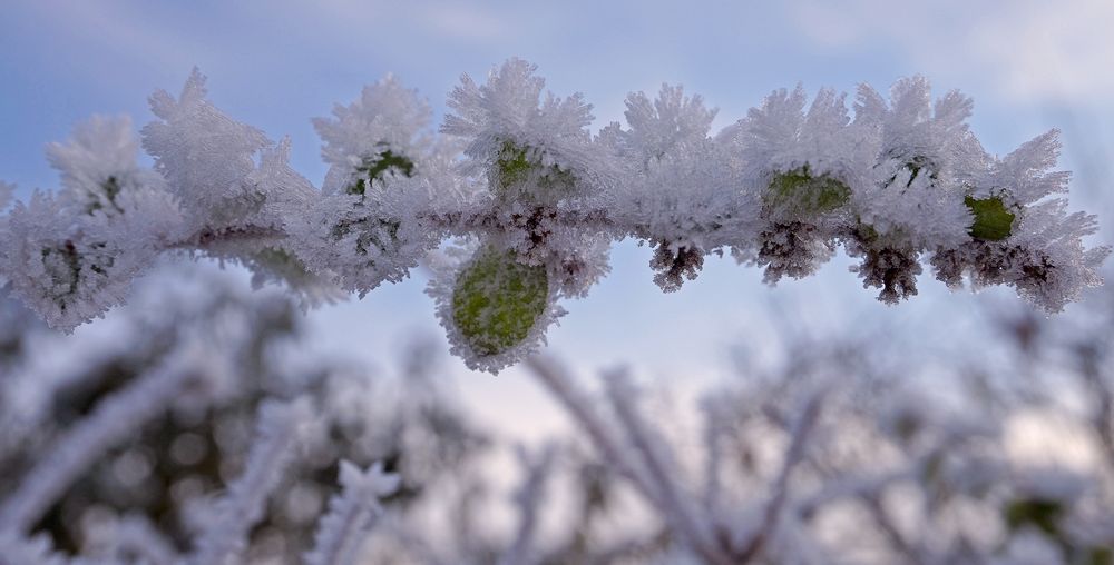 Mit Schnee bedeckt