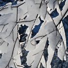 Mit Schnee geschmückt, von der Sonne berührt ... - Quand la neige manifeste son charme...