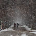 Mit Schneeflocken verzaubert